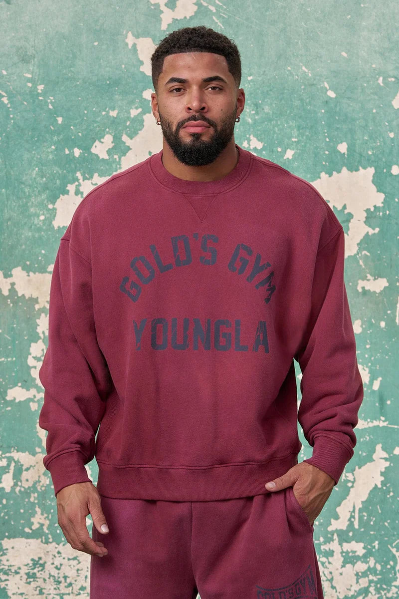 5166 - GOLD'S IRON LEGACY VINTAGE CREWNECKS SALE PRICE
