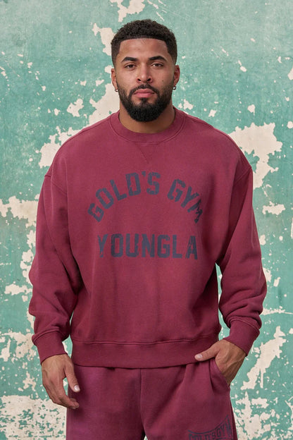 5166 - GOLD'S IRON LEGACY VINTAGE CREWNECKS SALE PRICE