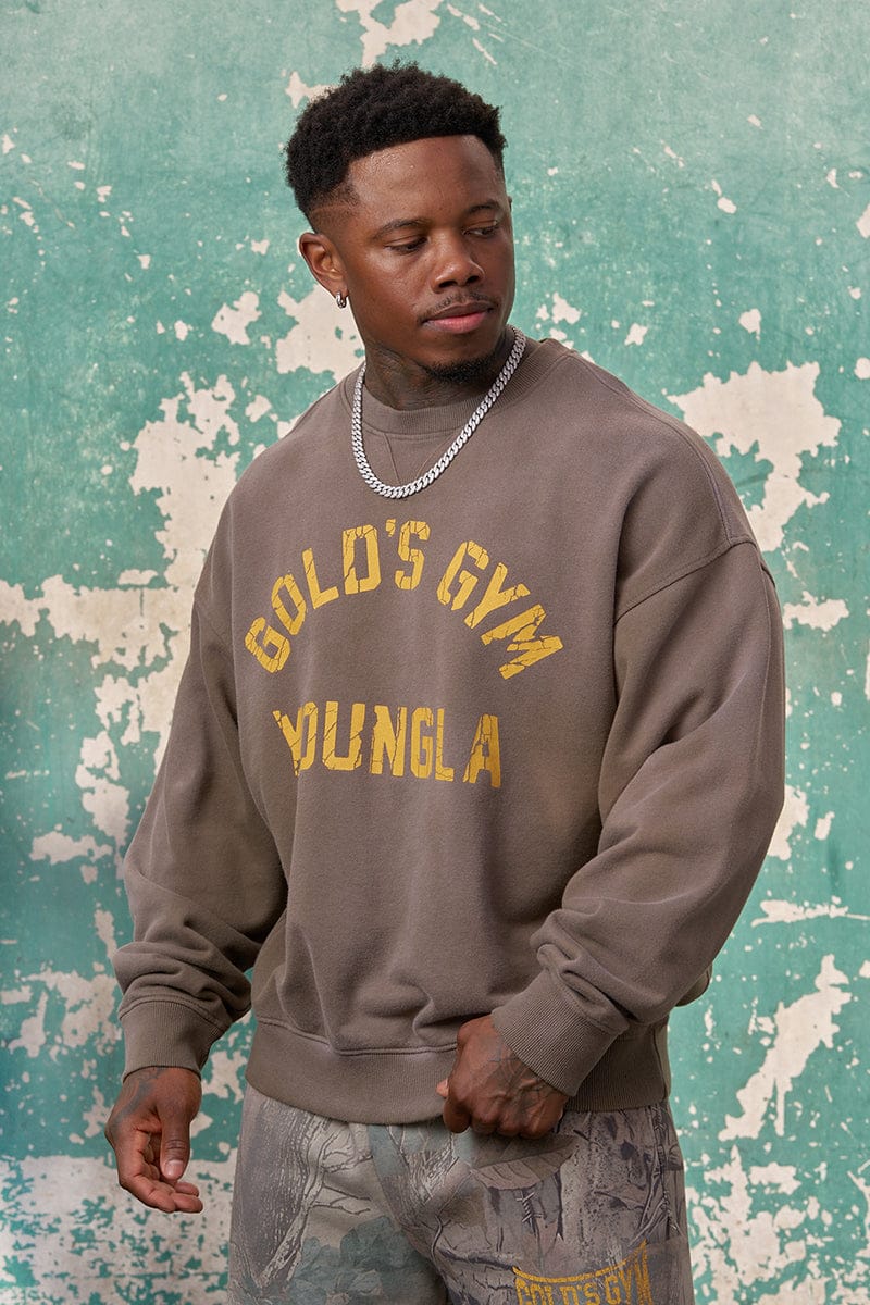 5166 - GOLD'S IRON LEGACY VINTAGE CREWNECKS SALE PRICE